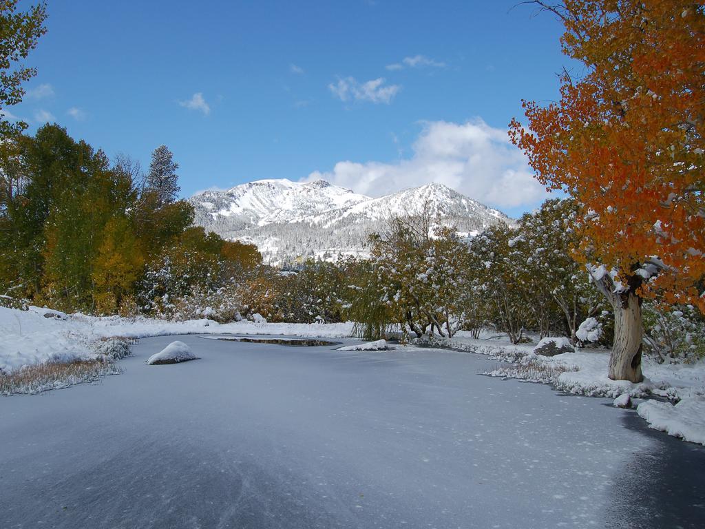 Snowcreek Vacation