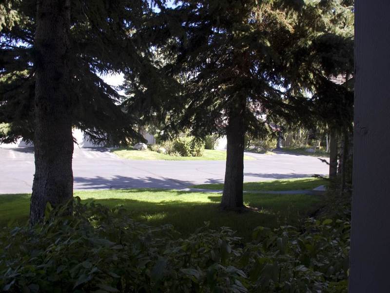 Snowcreek Vacation